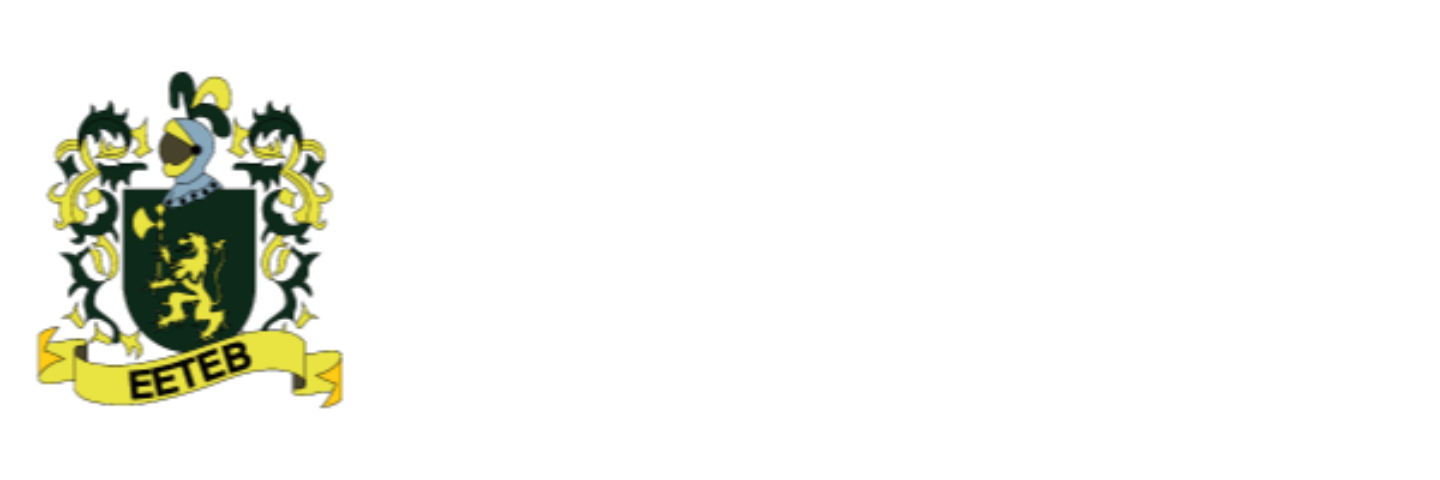 SISTEMA DE ENSINO TELES CALDEIRA SANTOS LTDA