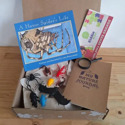 A HOUSE SPIDER'S LIFE